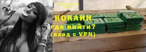 сатива Верея