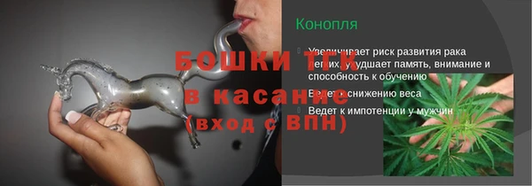 сатива Верея