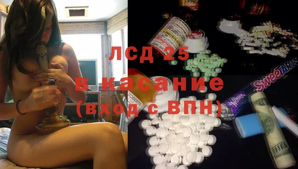 сатива Верея